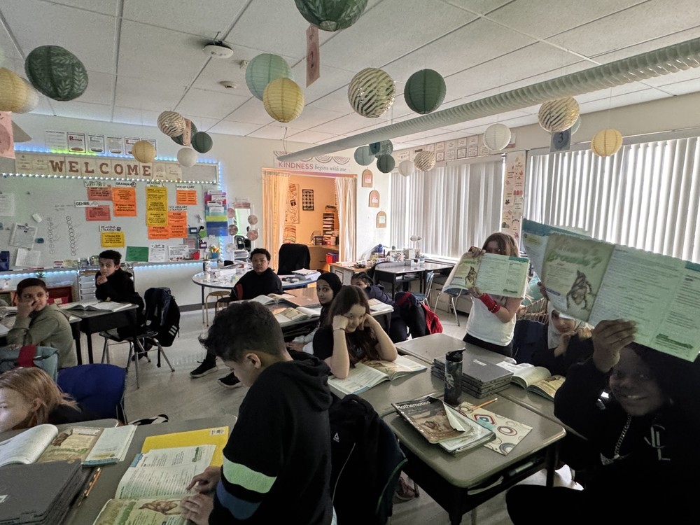 Students learn in class.