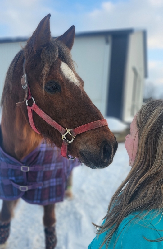 Horse greets LMS student.