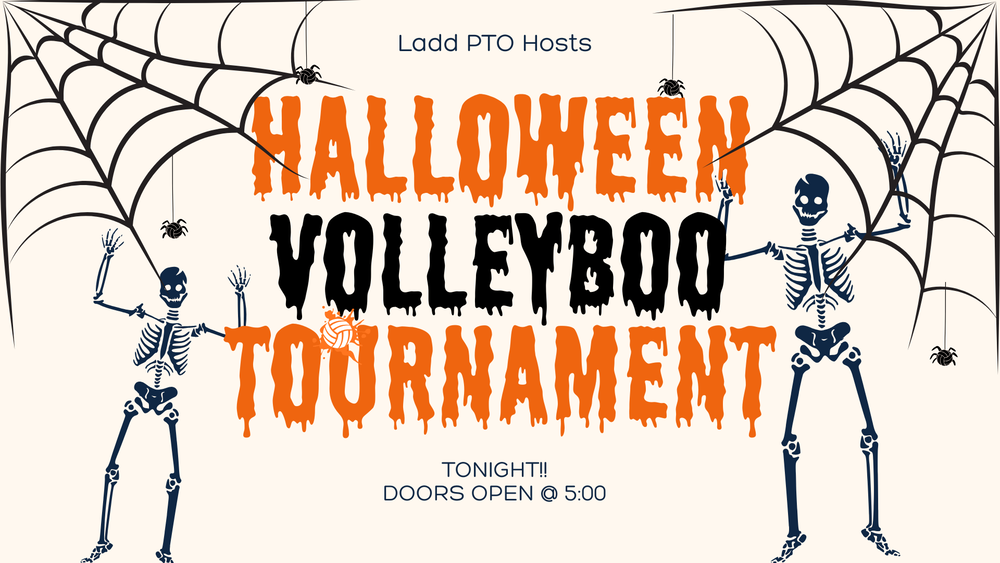 Halloween Volleyboo