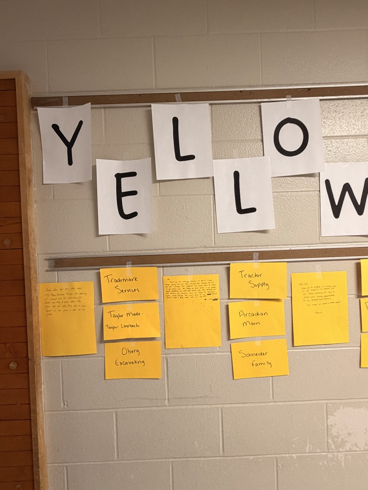 follow the yellow brick road
