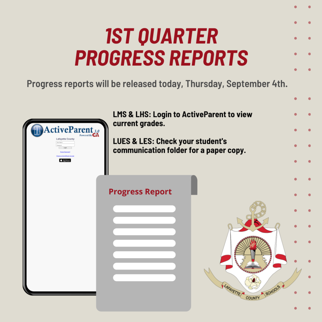 Progress Report
