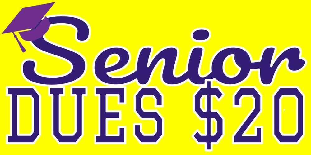 Senior Dues