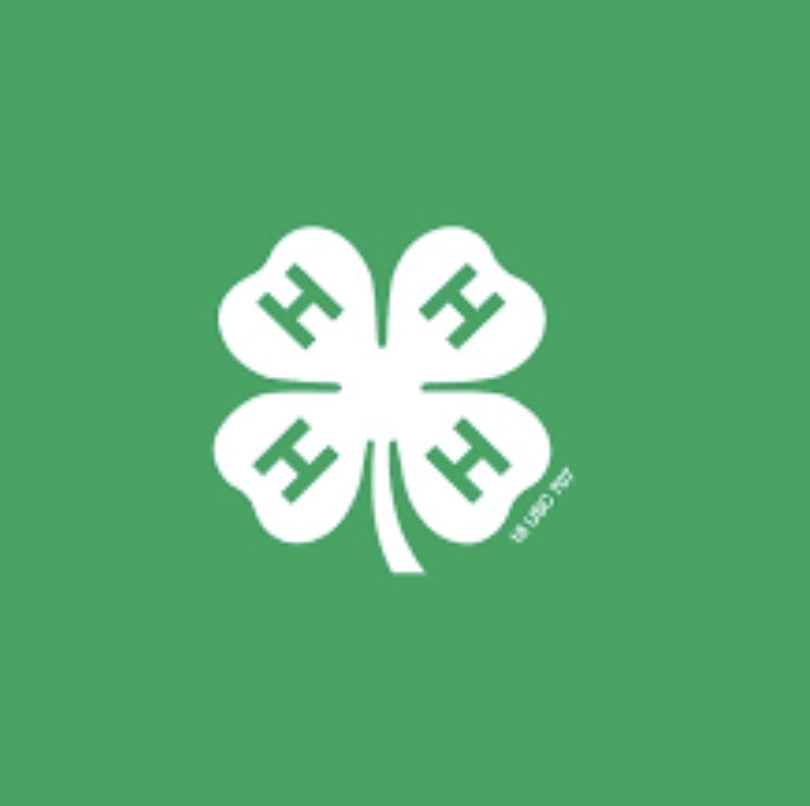 4-H logo