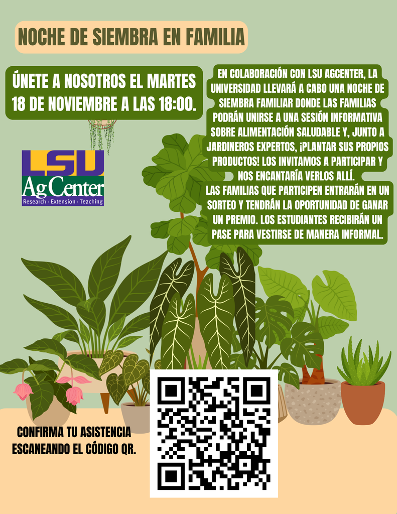 Flyer Spanish