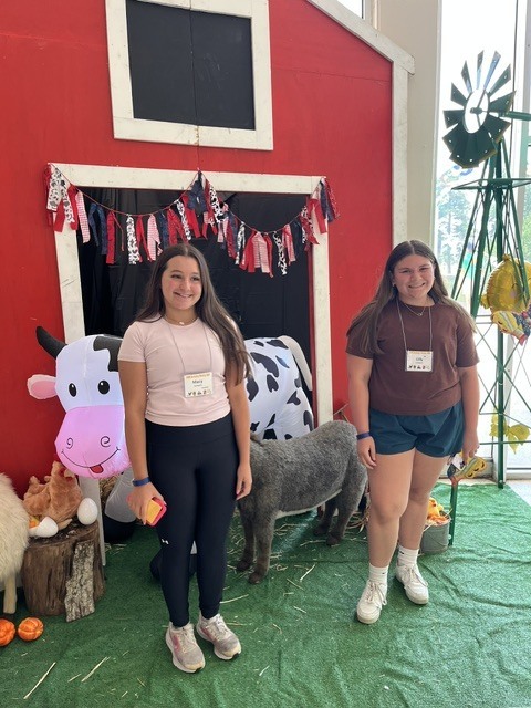 An eye-level full-length photograph of two smiling teenage girls posing in front of a red barn-themed photo backdrop indoors. They are standing on green artificial turf scattered with hay. The girl on the left has long dark hair and is wearing a light pink t-shirt, black athletic leggings, white sneakers, and a lanyard with a name tag that reads "Macy". She holds a pink phone in her hand. The girl on the right has long dark hair and is wearing a brown t-shirt, dark teal athletic shorts, white crew socks, white sneakers, and a lanyard with a name tag that reads "Lilly". The farm-themed backdrop behind them features a red wooden barn facade with a black window and a white trim entryway decorated with a red, white, and blue fabric garland. Surrounding the girls are farm decorations, including a large inflatable black-and-white spotted cow, a stuffed grey donkey, a small plush chicken resting on a log to the far left, small pumpkins on the ground, and a tall green toy windmill structure on the far right.