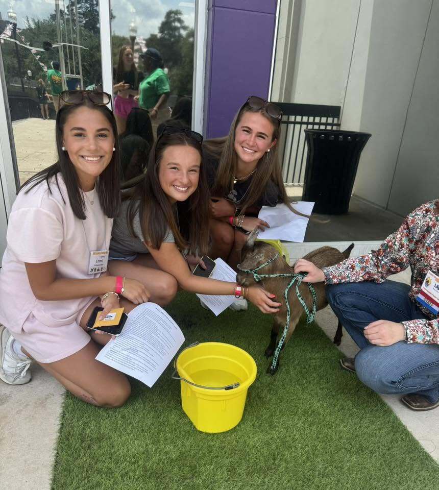 A medium shot of three smiling young women kneeling outdoors on a patch of artificial green turf next to a small brown and black goat. The women are gathered on the left, looking directly at the camera. The woman on the far left wears a light pink matching t-shirt and shorts set, sunglasses on her head, white sneakers, and a workshop name tag lanyard. The woman in the center wears a grey t-shirt and holds a cell phone and printed papers, while reaching out to gently pet the goat. The third woman leans in closely from behind them wearing a dark top and sunglasses on her head. The small goat stands in the center facing right, wearing a blue-and-white patterned halter leash. To the far right, a partial view of a person wearing a colorful floral pattern long-sleeve shirt and blue jeans sits near the goat, holding its leash. A bright yellow plastic bucket sits on the turf in the foreground, and printed paper sheets are scattered on the ground. The background features a modern campus building with a purple structural column, large glass windows reflecting trees, and a black trash receptacle.