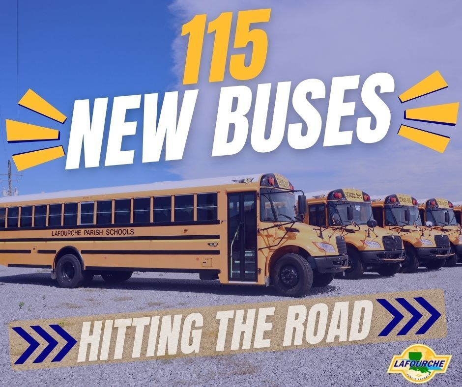 A row of yellow school buses with a text overlay that reads "115 NEW BUSES HITTING THE ROAD".