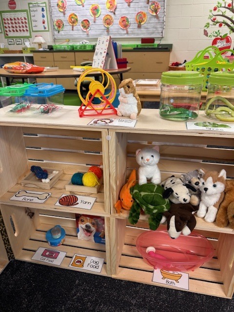 Students playing with their pet center in the classroom