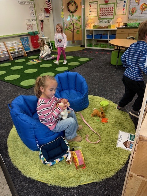 Students playing with their pet center in the classroom