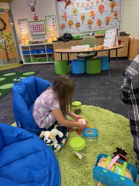 Students playing with their pet center in the classroom