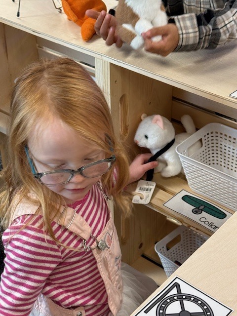 Students playing with their pet center in the classroom