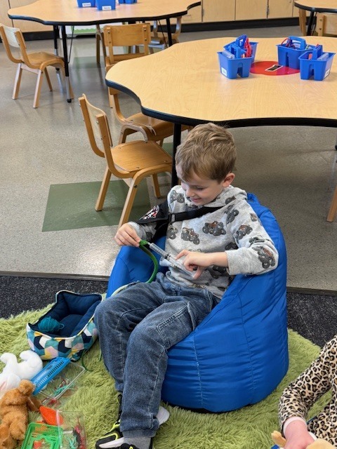 Students playing with their pet center in the classroom