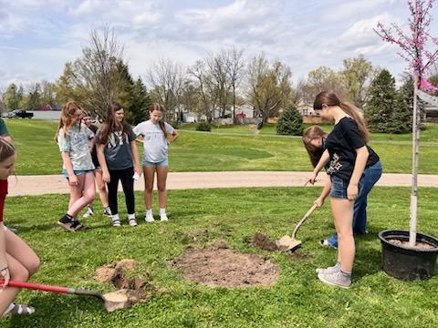 Students working on planting a tree