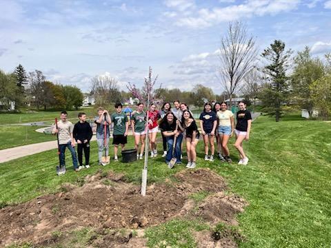 Kids at the park posing behind a tree they planted