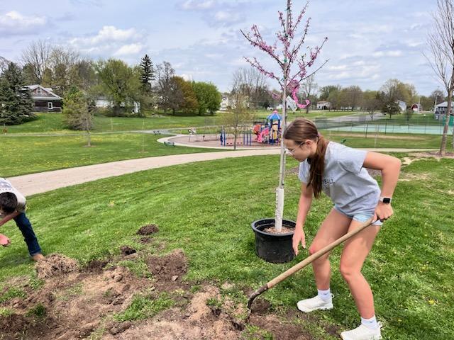 Students planting a tree at the park