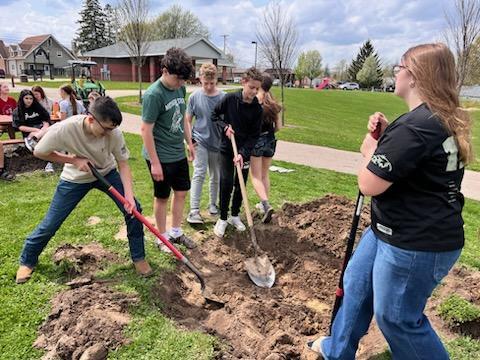 Students with shovels planting a tree