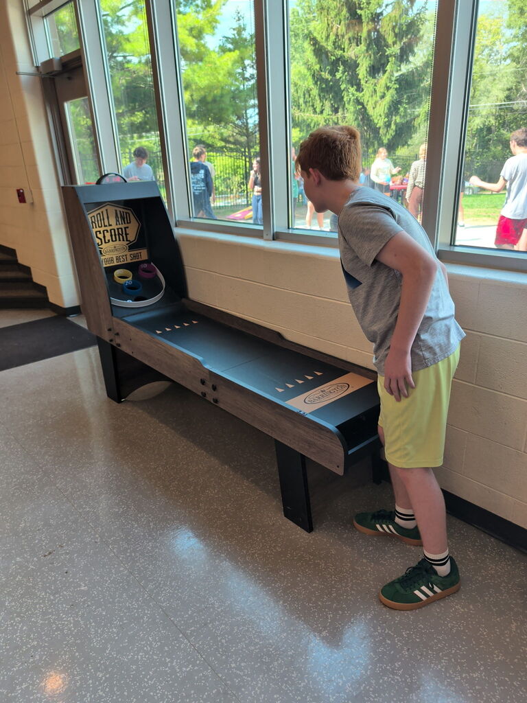 Skeeball game