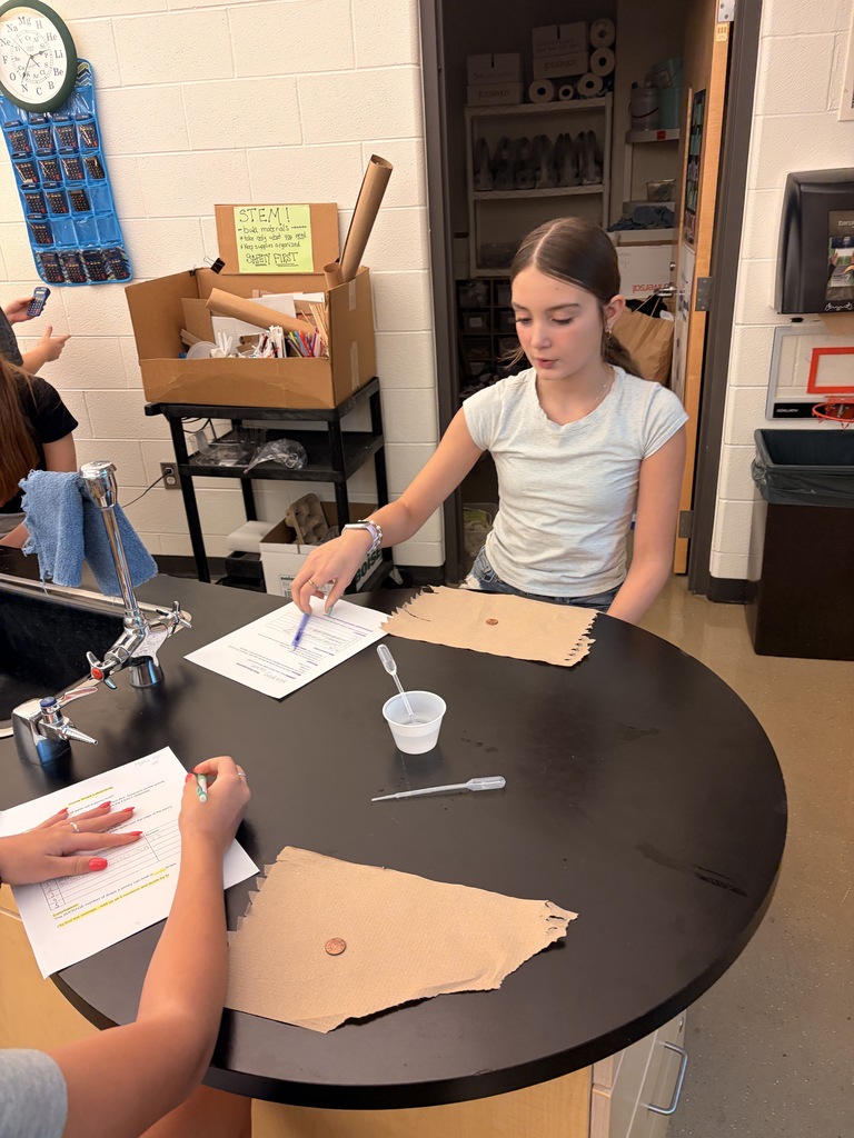 Students working at a lab in a science classroom.