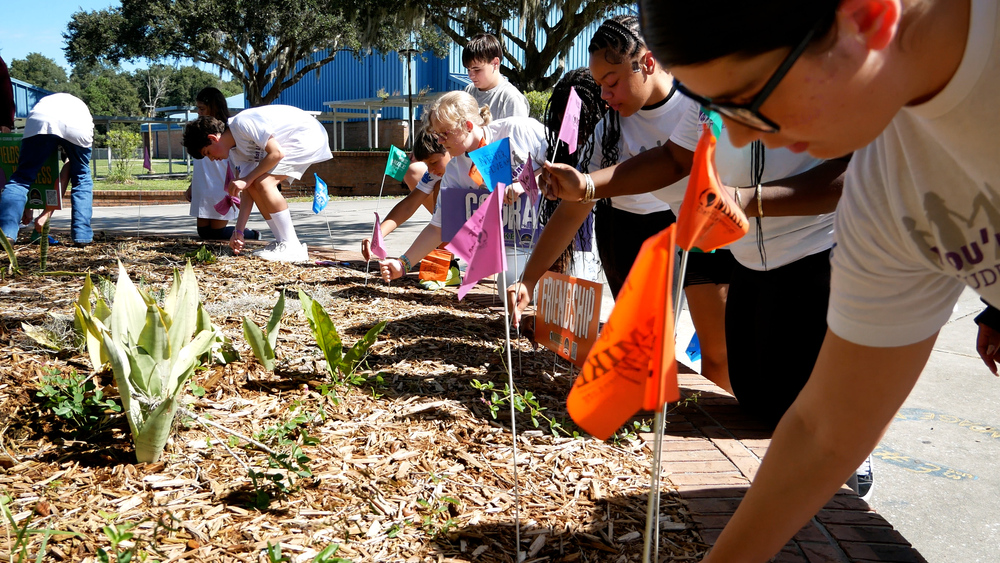 Students plant small colorful flags in raised garden