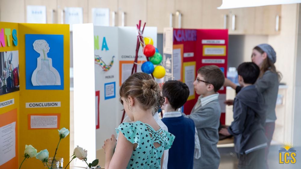 Stock image of students standing in front of science projects with their backs to the camera