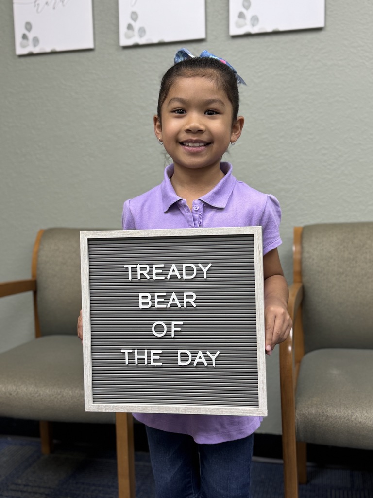 tready bear of the day