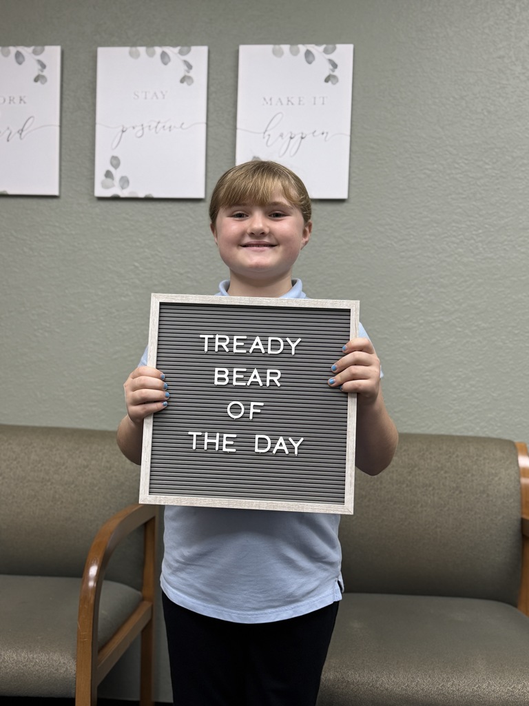tready bear of the day
