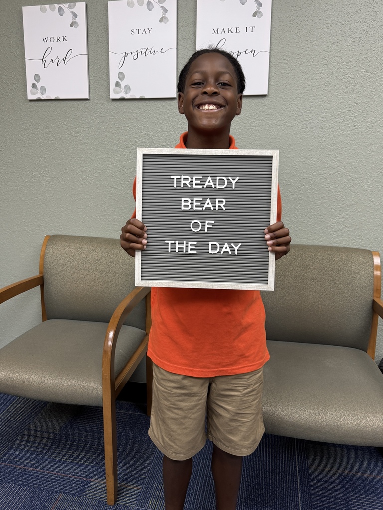 tready bear of the day