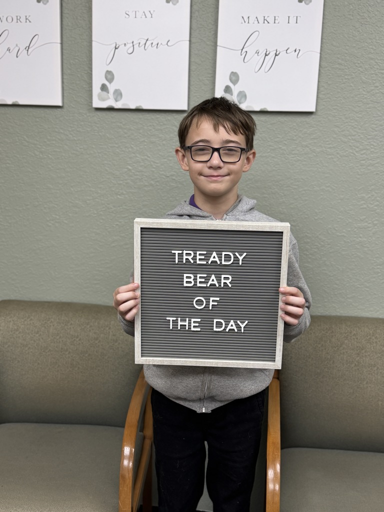 tready bear of the day