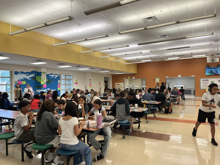 PBIS 8