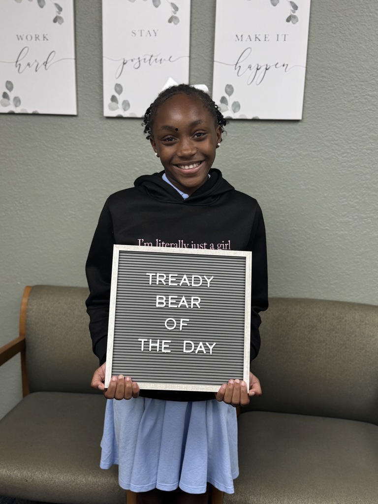 tready bear of the day