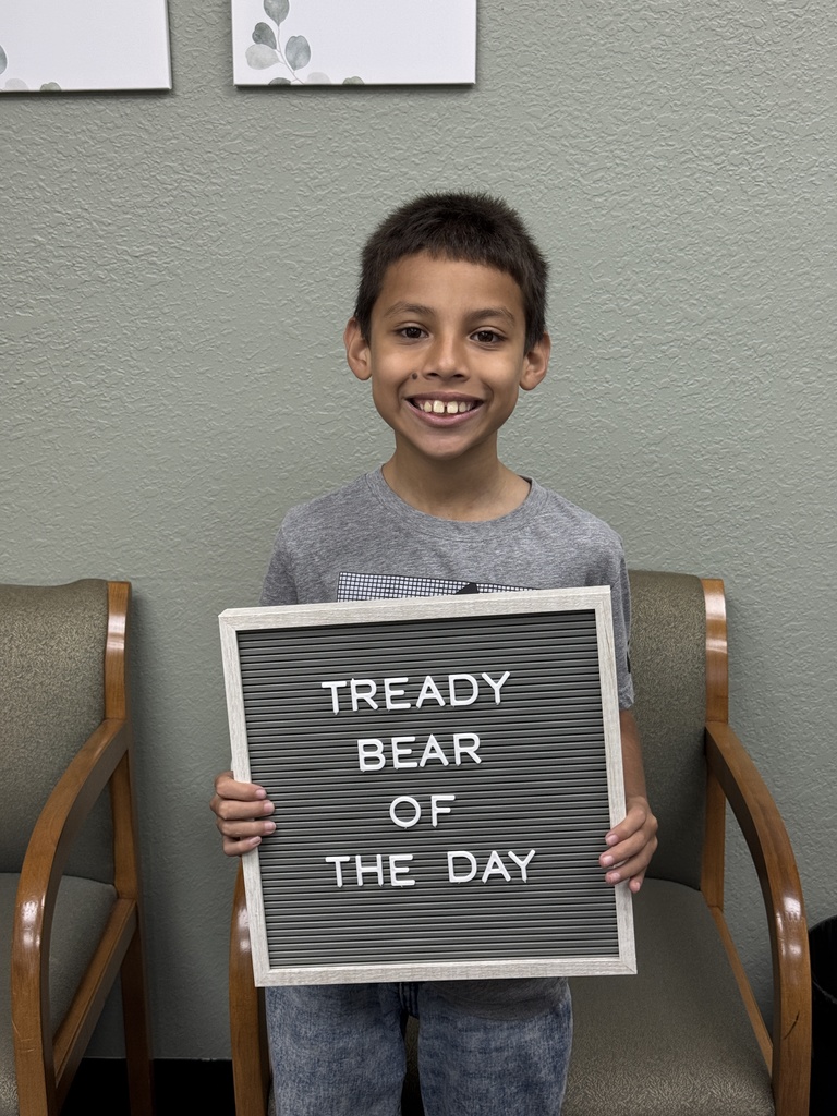 tready bear of the day