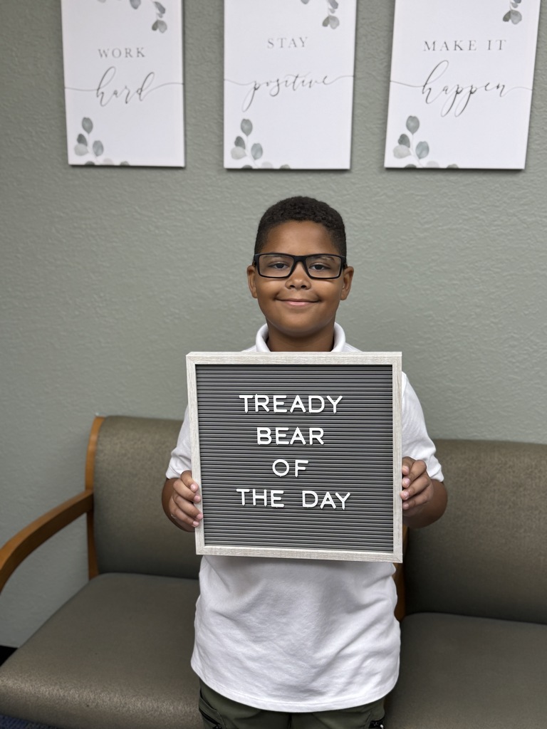 tready bear of the day