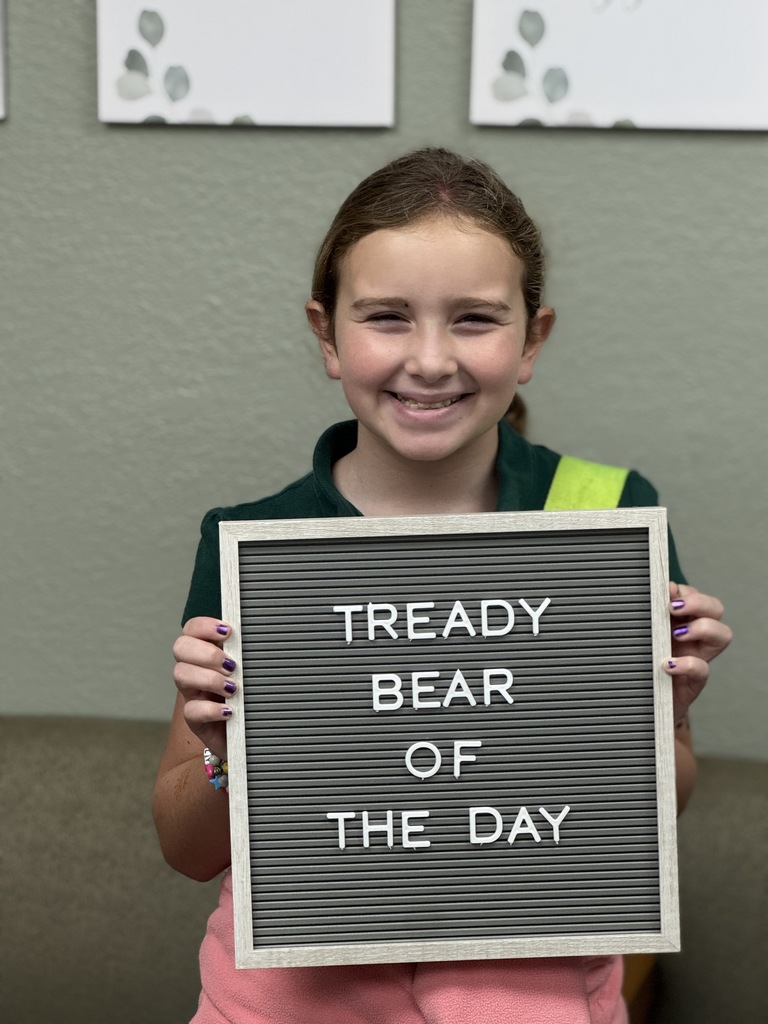 tready bear of the day