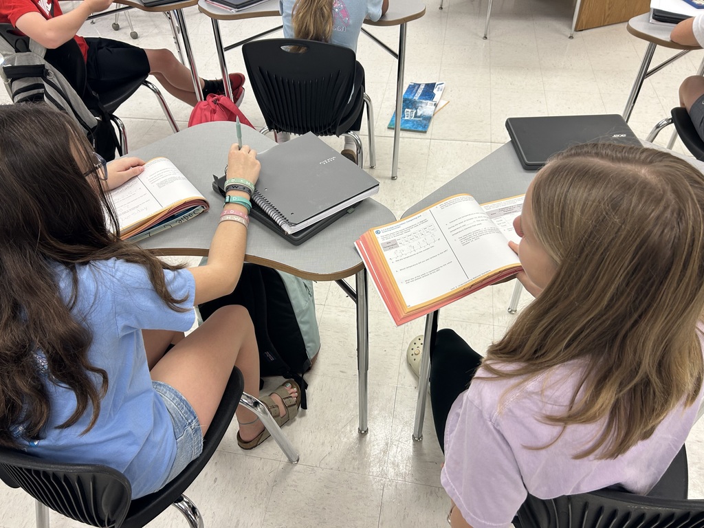 Collaborating in Math!