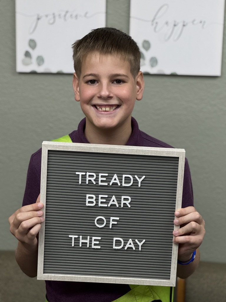 tready bear of the day