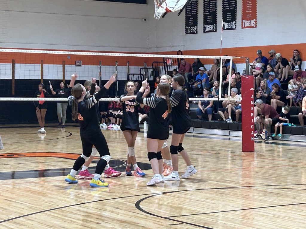 Volleyball
