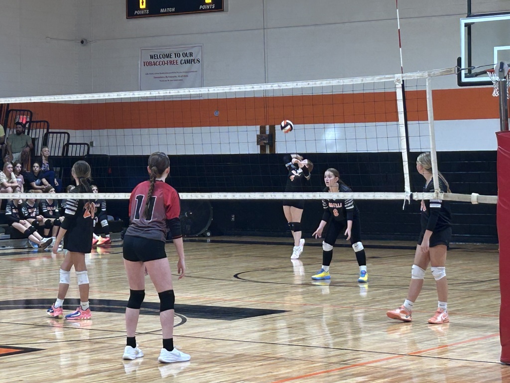 Volleyball