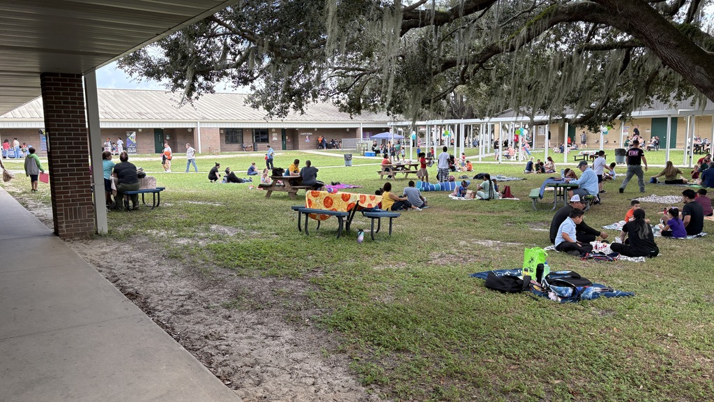 picnic