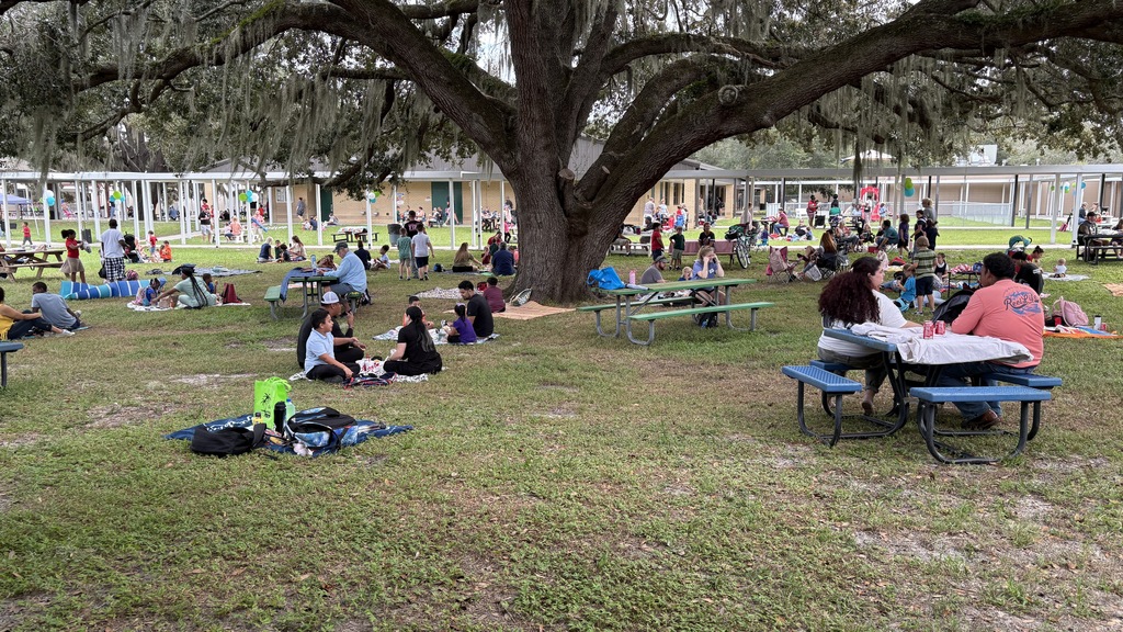 picnic