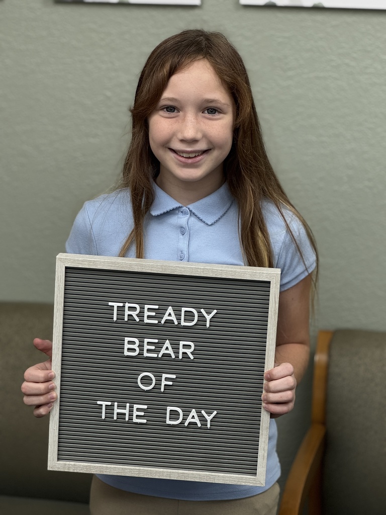 tready bear of the day