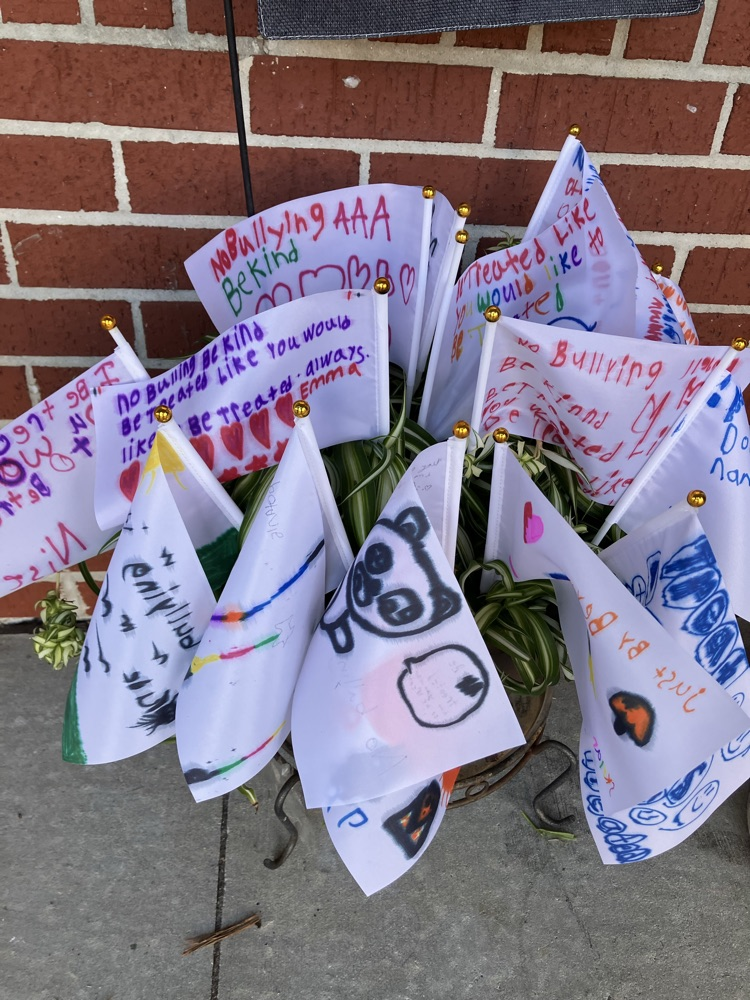 Anti-Bullying Flags