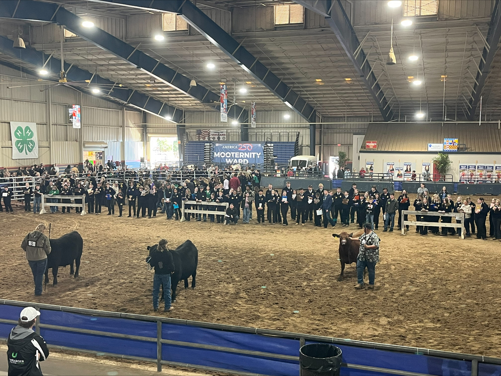 UHS students participate in livestock events at the Florida State Fair.