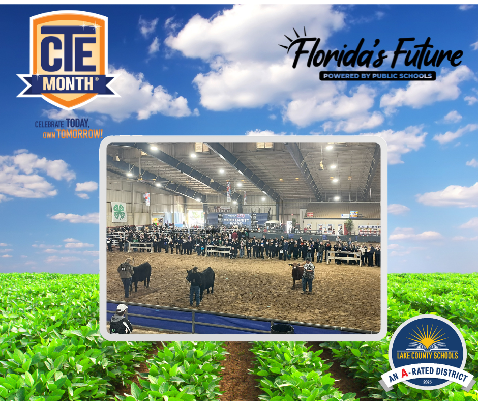 Picture of students showing cows against a backdrop of open field of green crops