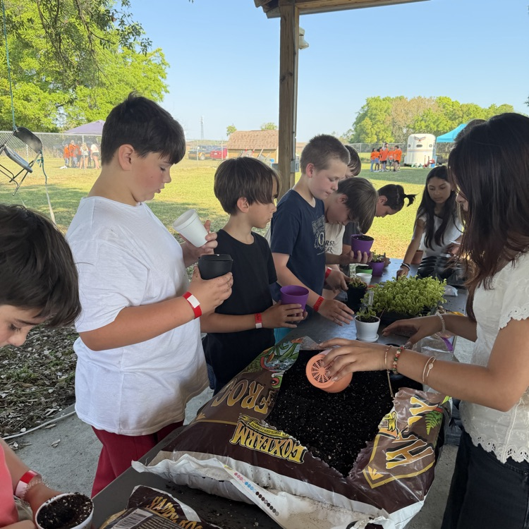 Students potting their Venus Fly Traps.