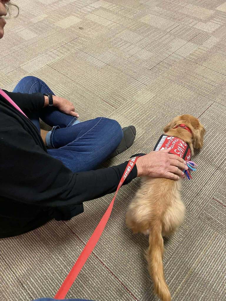 Photo of a woman who is petting a small brown/golden dog with a red leash. 