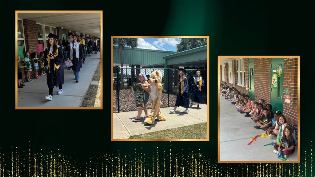 Senior Walk