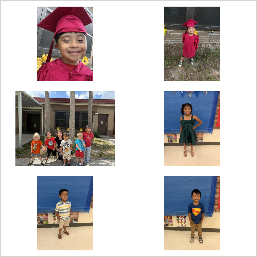  Collage of classroom award and graduation photos. Top-left and bottom-center: wide classroom views with young children seated at low tables on a colorful alphabet rug; several children wear medals while a blonde child in the foreground eats a blue-frosted cupcake with a spoon; adults (including a woman in a green dress and a woman in a wheelchair) and classroom shelves, a whiteboard/screen, and learning materials are visible. Top-right and middle-left: close-ups of two children eating cupcakes — a girl with dark pigtails in a teal dress wearing a medal and blue bracelet, and a boy in a blue Superman T-shirt wearing a medal and yellow bracelet; light-colored cabinets are in the background. Middle-right: three children (the same girl and boy plus another boy in a white shirt) sit together eating cupcakes from plates; background shows a refrigerator with magnets, shelves with books, a red beanbag, and windows. Remaining photos show a teacher seated on a yellow stool presenting small trophies, books, and "Certificate of Achievement" to individual children who stand beside her wearing medals, plus portrait-style shots of young children in maroon graduation caps and gowns and an outdoor group photo by palm trees with yellow flower decorations.