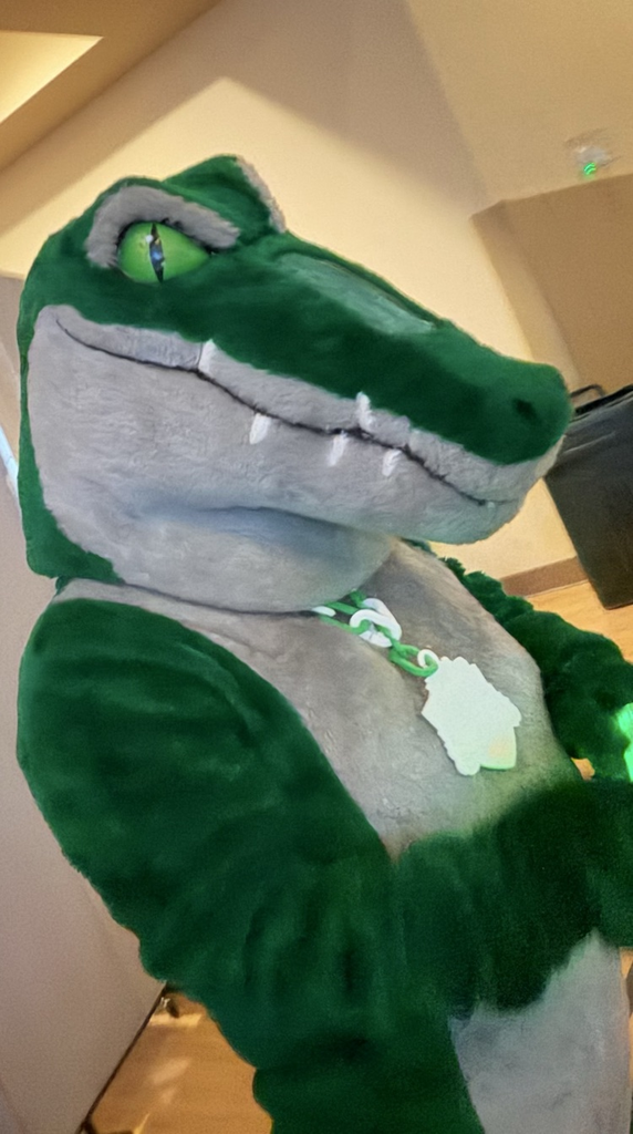 gator 