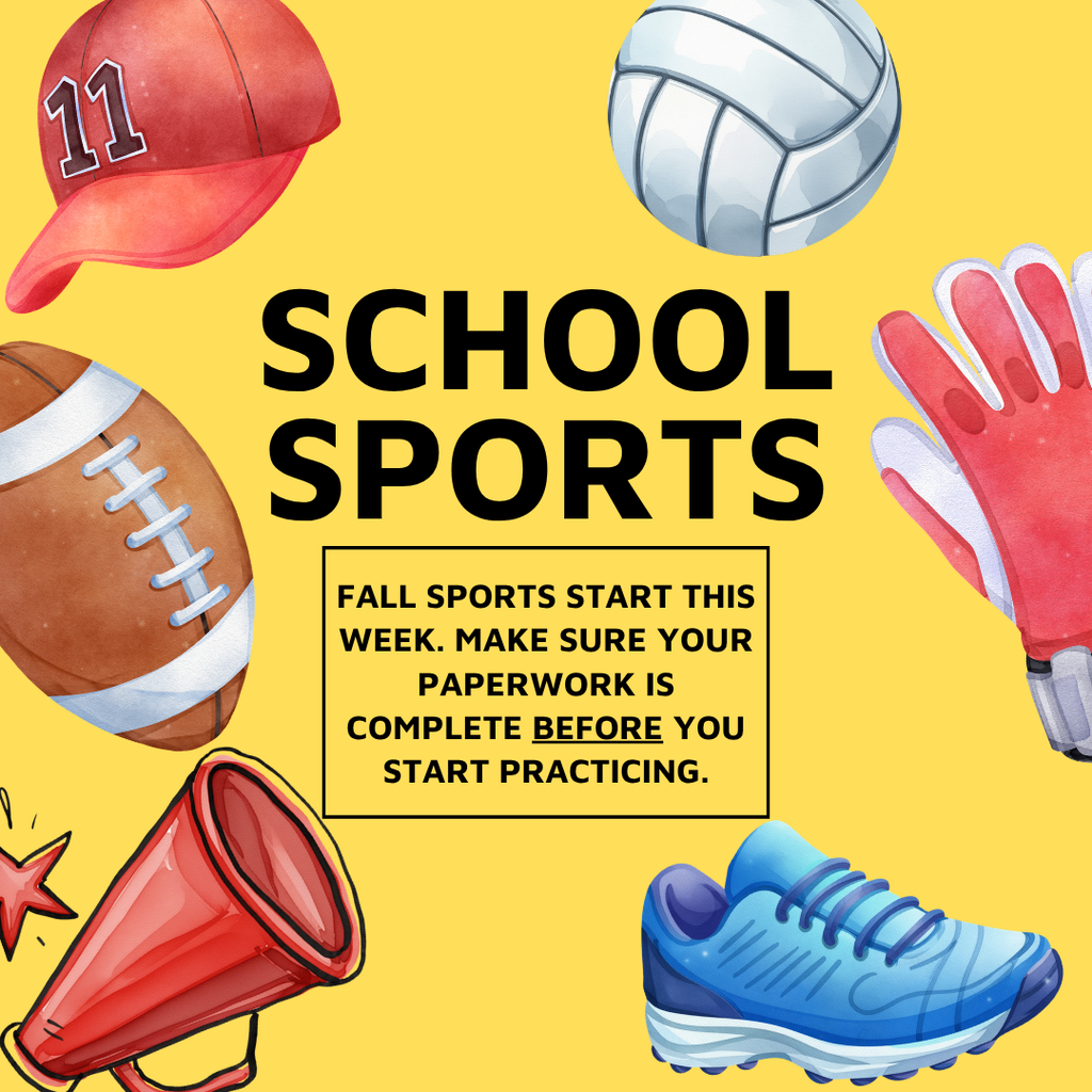 A yellow background features various sports equipment: a football, a baseball cap, a volleyball, and a megaphone. Text reads "SCHOOL SPORTS."