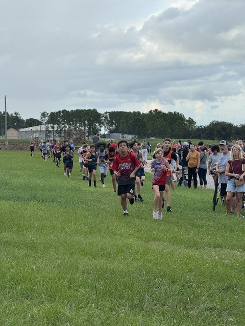 Pictures of Cross Country Meet, athletes running the course 
